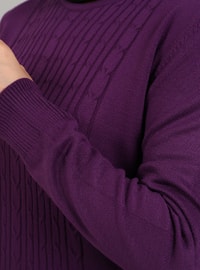 Purple - Unlined - Crew neck - Knit Dresses