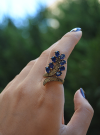 Blauer Zirkonblattring