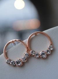 Gold Plated Round Earrings Gold