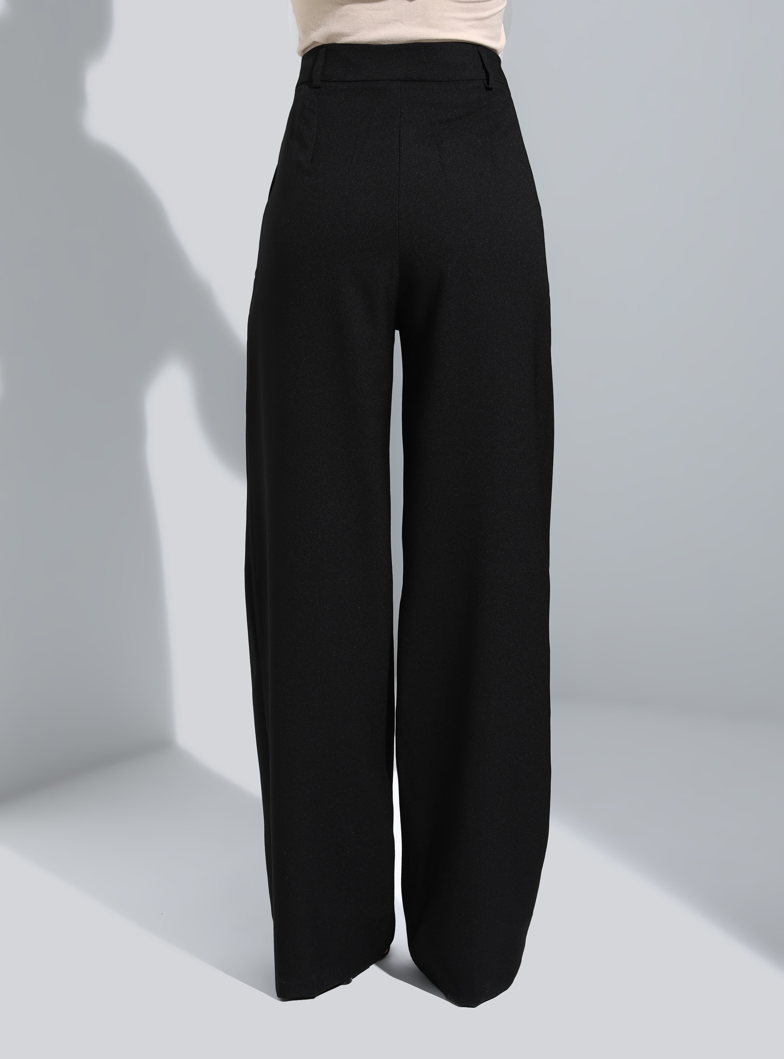 Pleated Classic Fabric Pants Black