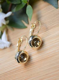 Zircon Stone Earrings Gold Color