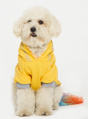 Ponchic Yellow Pet Care Products