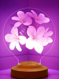 Plumeria flower or frangipani flower as a gift for best friend, Engraved 3D Led Lamp