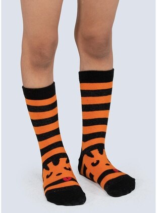 Orange - Boys` Socks - LupiaKids