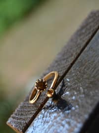  Brown Ring