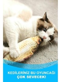 Multi - Pet Care Products