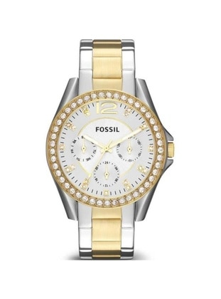 Grey - Watches - Fossil