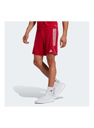 Multi Color - Men`s Shorts - Adidas