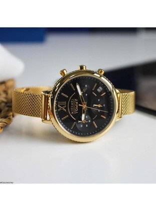 Golden color - Watches - Michael Tommy