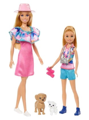 Pink - Dolls and Accessories - Barbie