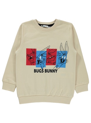 Stone Color - Boys` Sweatshirt - Bugs Bunny