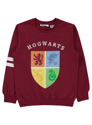 Burgundy - Boys` Sweatshirt - Harry Potter