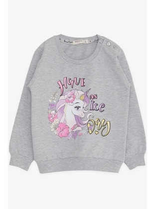 Grey - Baby Sweatshirts - Breeze Girls&Boys